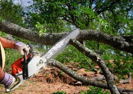 Lawn Watering Services in Elm Creek, TX